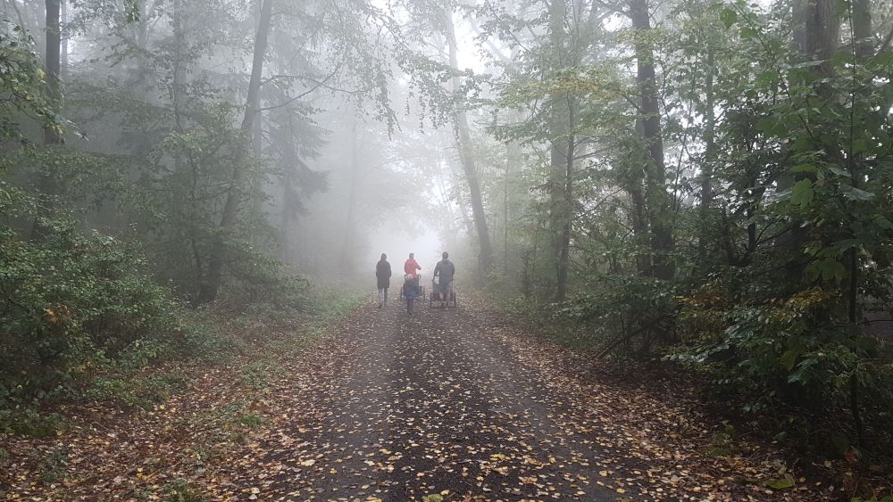 2026 Gauwanderung Vielbrunn